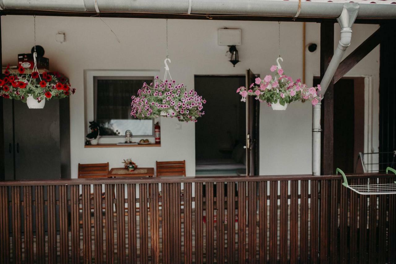 Paulaapartment&Rooms أرادايا المظهر الخارجي الصورة